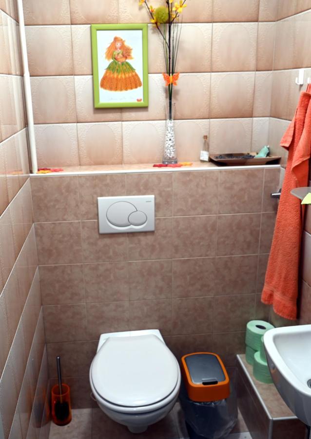 Apartma Metka Lese Trzic Extérieur photo