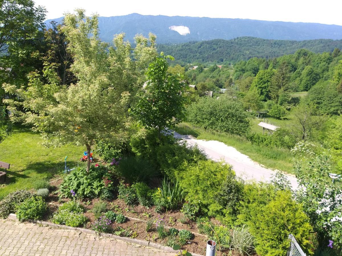 Apartma Metka Lese Trzic Extérieur photo