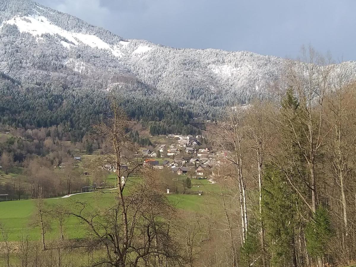 Apartma Metka Lese Trzic Extérieur photo