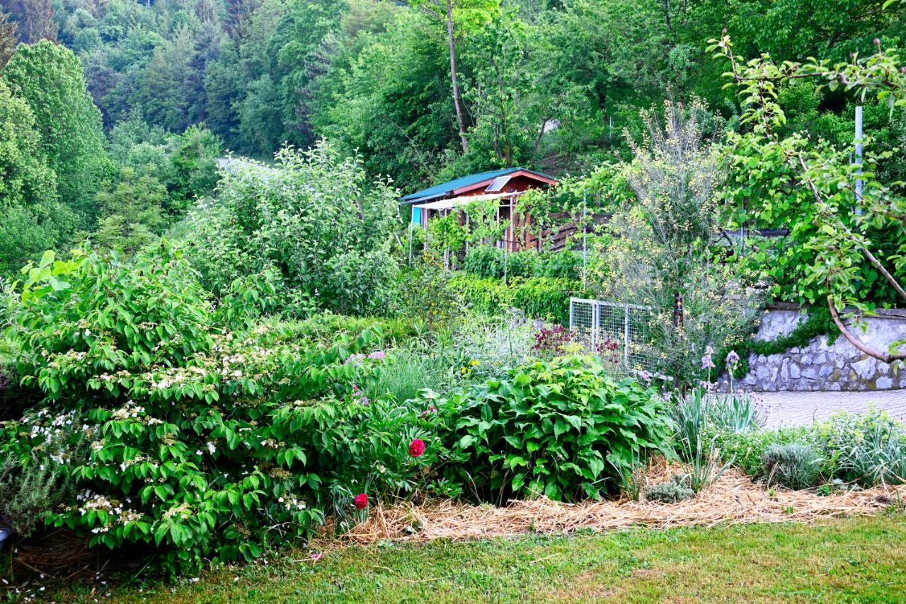 Apartma Metka Lese Trzic Extérieur photo